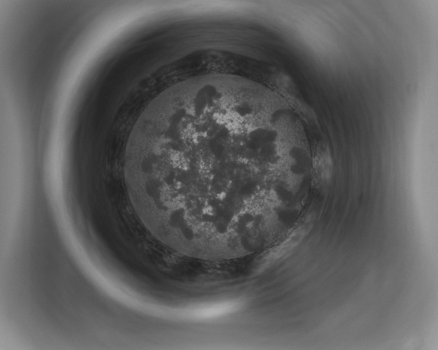 X0000113270765200909101519