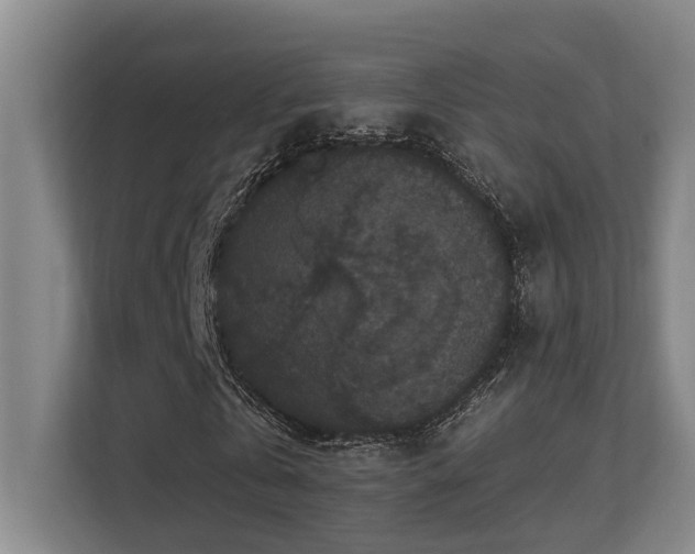X0000113270769200909101518