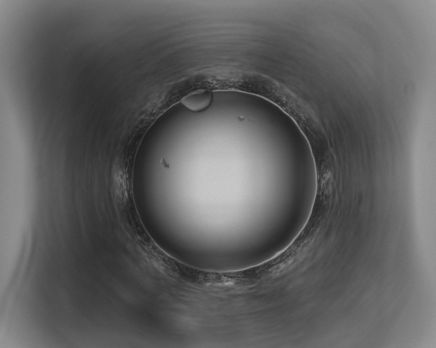 X0000113270772200909101518