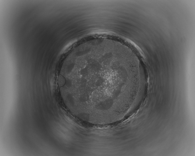 X0000113270775200909101518