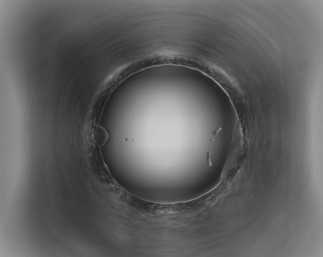X0000113270776200909101518