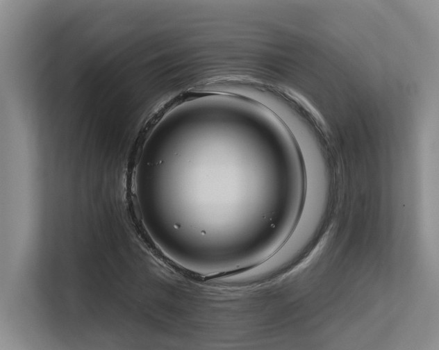 X0000113270777200909101518