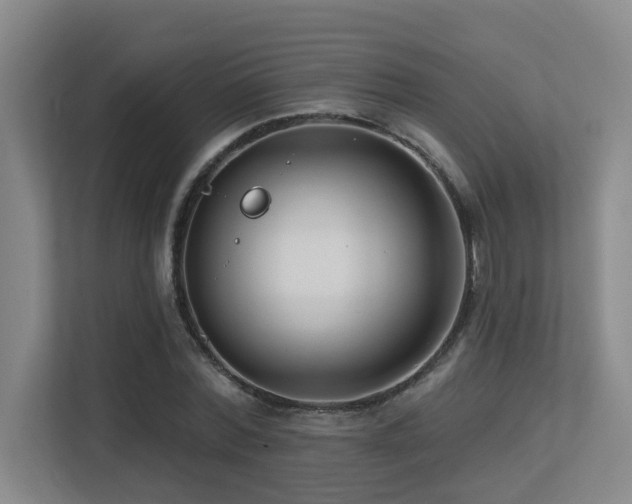 X0000113270780200909101518