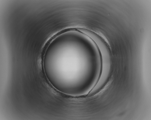 X0000113270781200909101518
