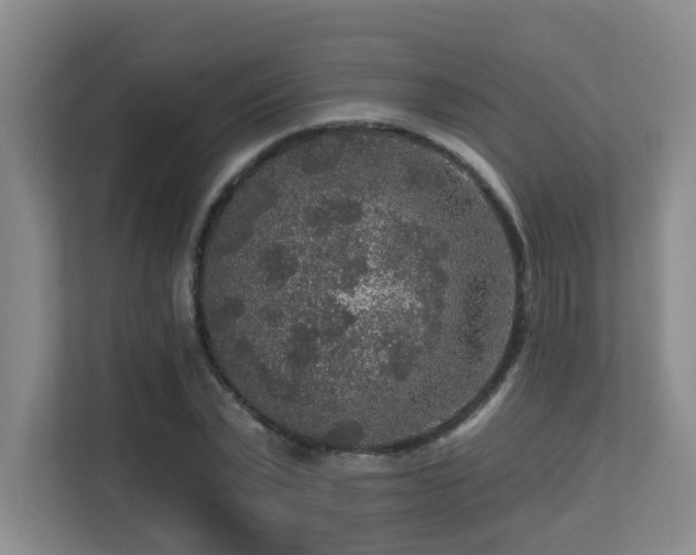 X0000113270783200909101518
