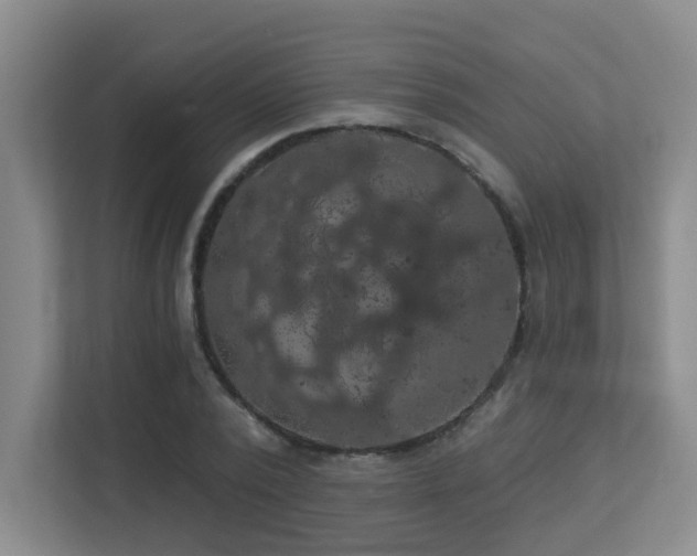 X0000113270784200909101518