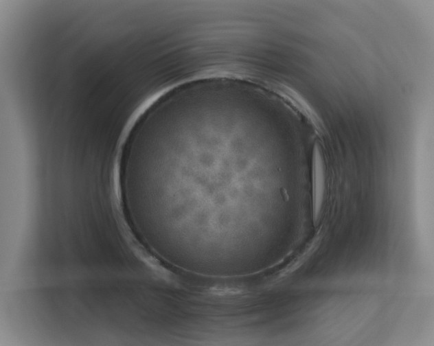X0000113270788200909101518