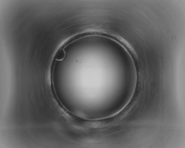 X0000113270791200909101518