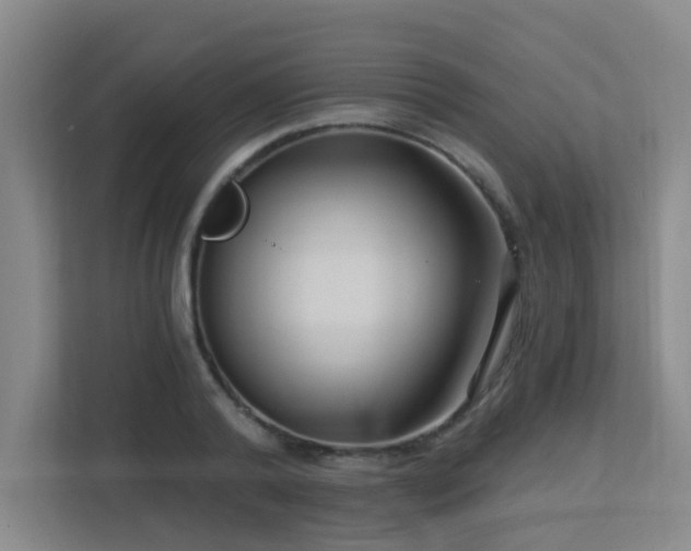 X0000113270792200909101518