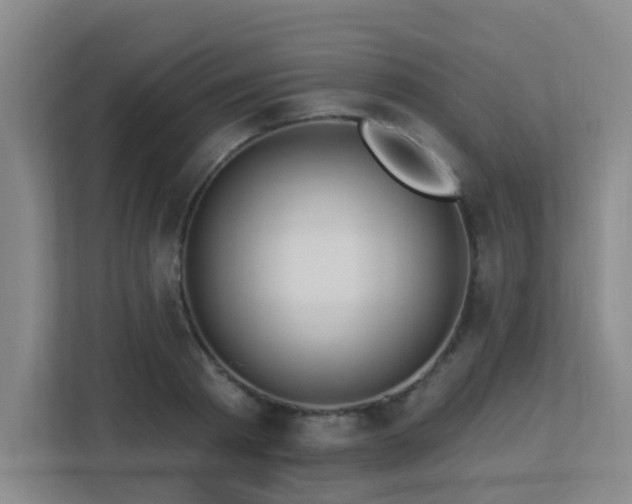 X0000113270793200909101518