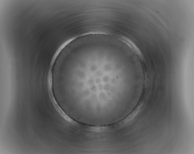 X0000113270804200909101518