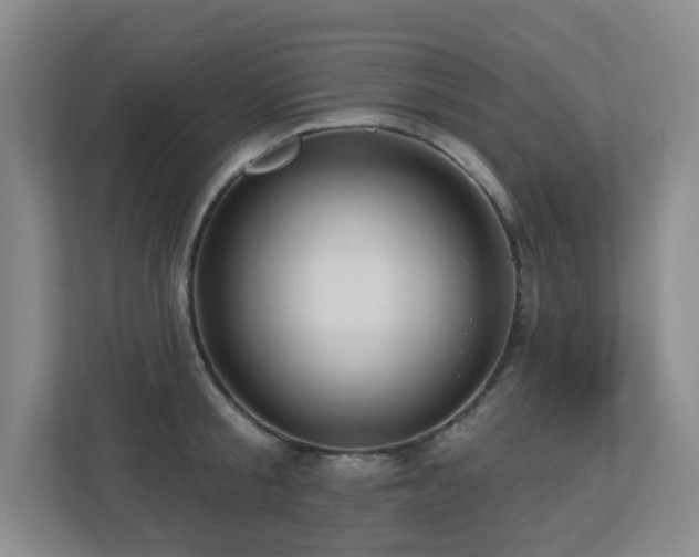 X0000113270805200909101518