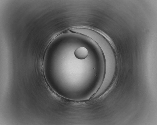 X0000113270809200909101518