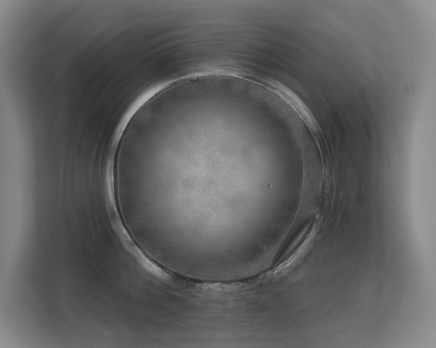 X0000113270812200909101518
