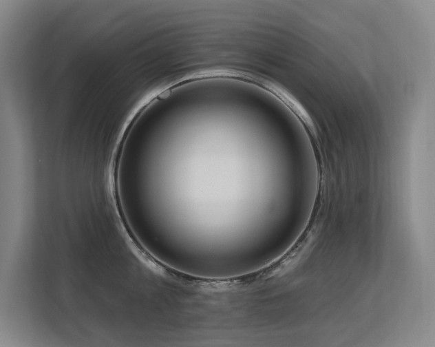 X0000113270813200909101518
