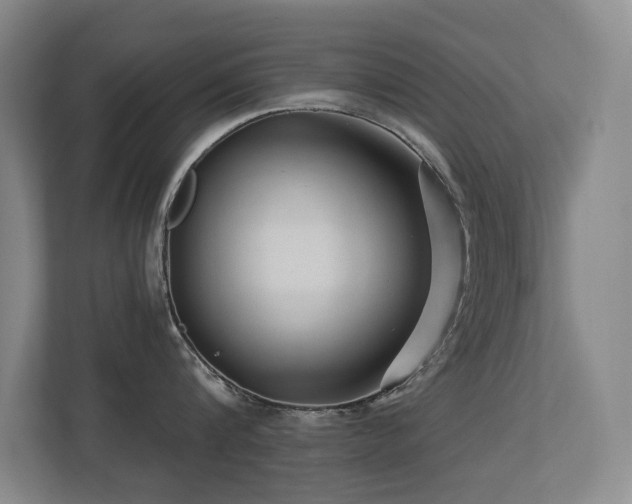 X0000113270816200909101518