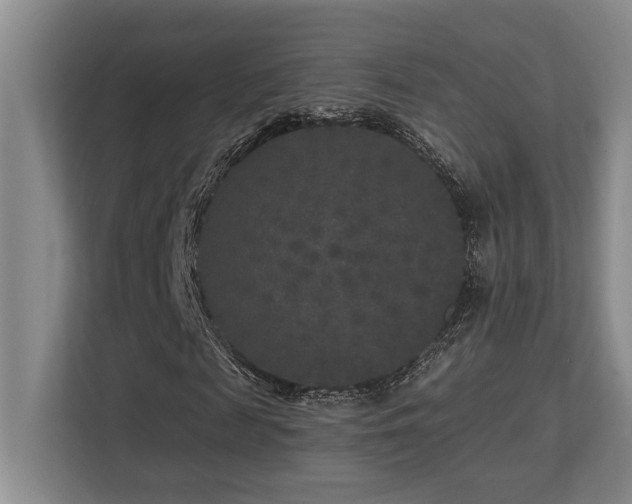 X0000113270817200909101517