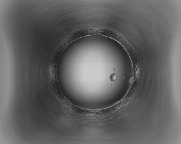 X0000113270819200909101517