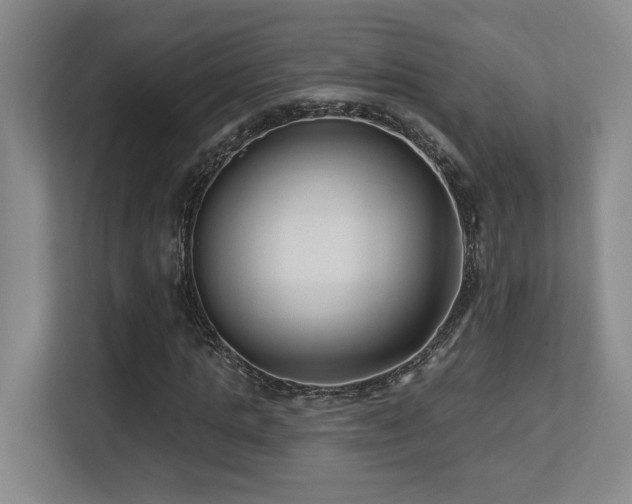 X0000113270821200909101517