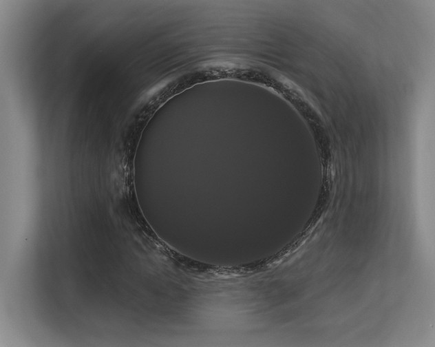 X0000113270822200909101517