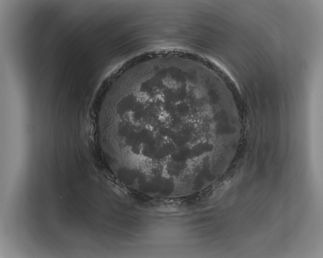 X0000113270823200909101517