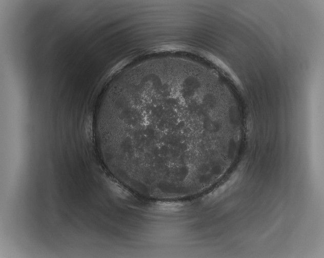 X0000113270825200909101517