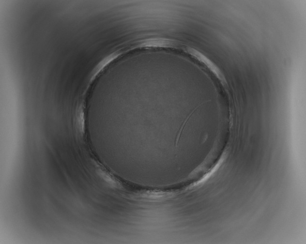 X0000113270829200909101517