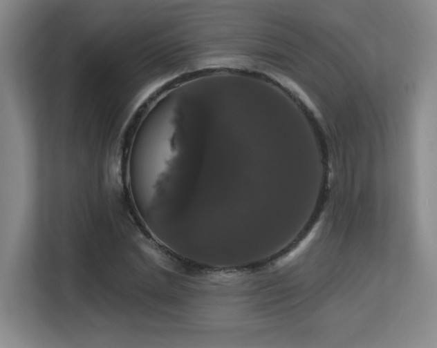 X0000113270830200909101517