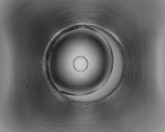 X0000113270832200909101517