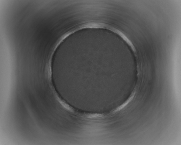 X0000113270837200909101517