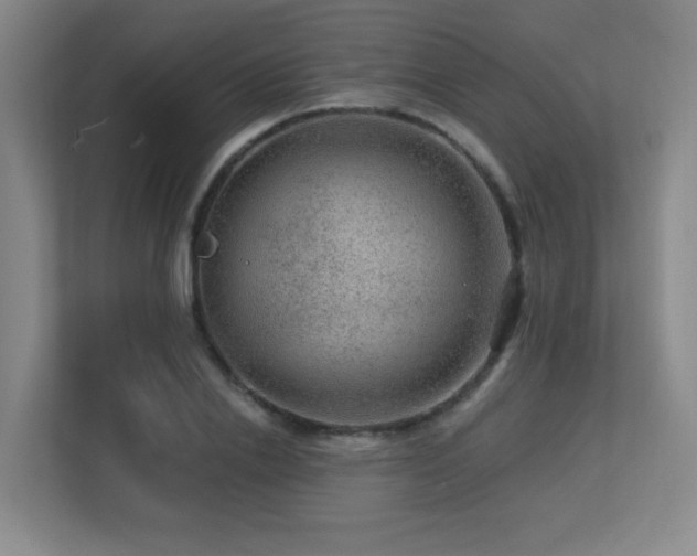 X0000113270838200909101517