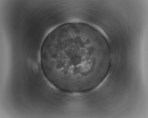 X0000113270839200909101517