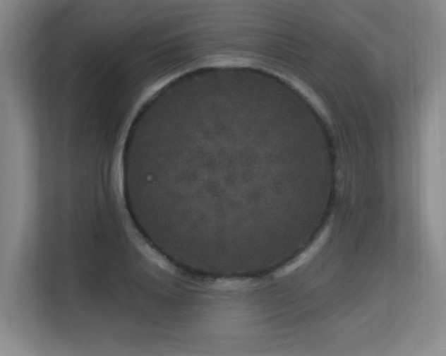 X0000113270840200909101517