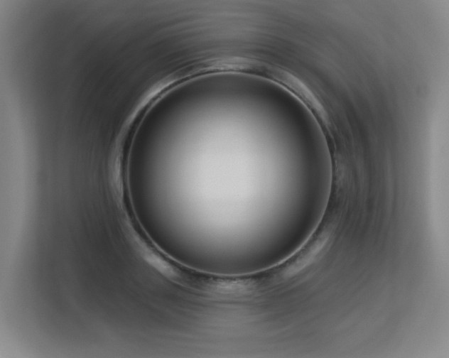 X0000113270843200909101517