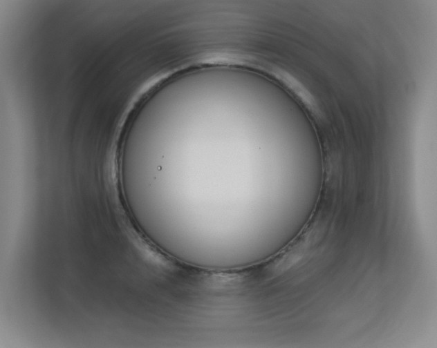 X0000113270848200909101517