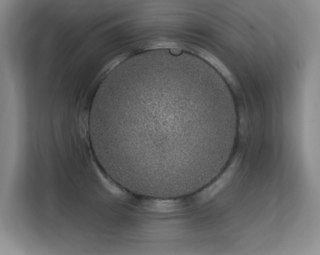 X0000113270849200909101517
