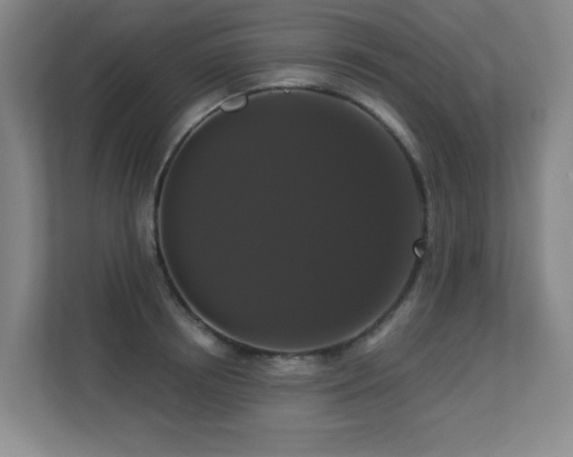 X0000113270850200909101517