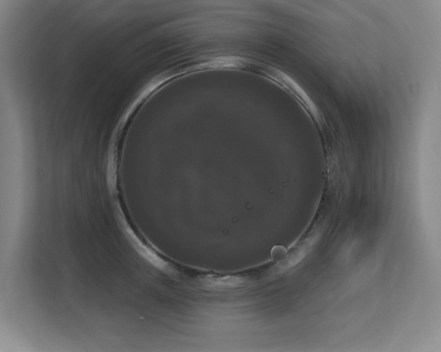 X0000113270851200909101517