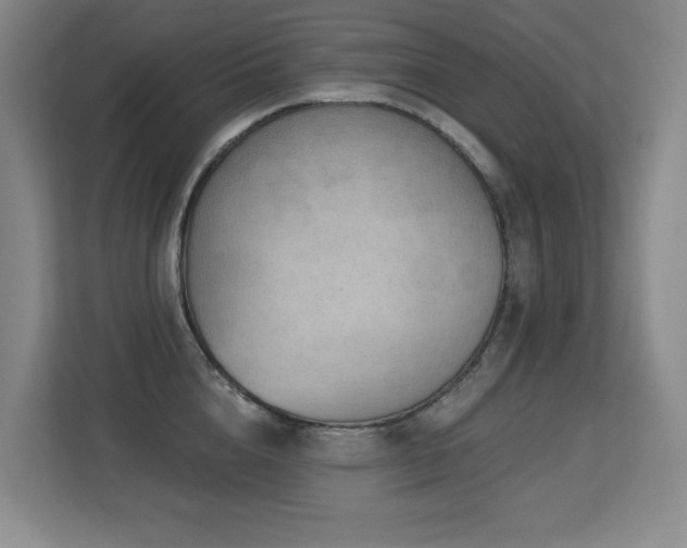 X0000113270856200909101517