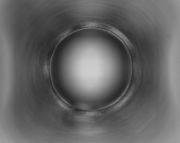 X0000113270857200909101518