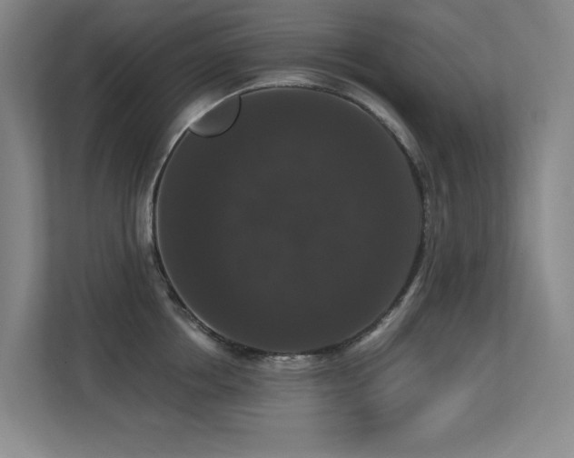 X0000113270858200909101518