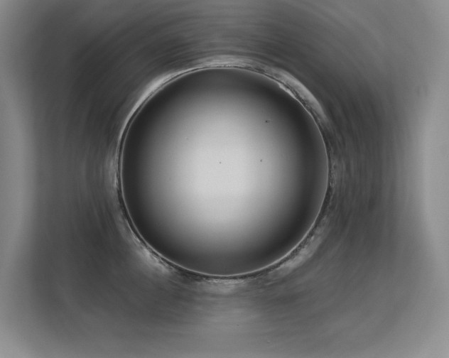 X0000113270860200909101518