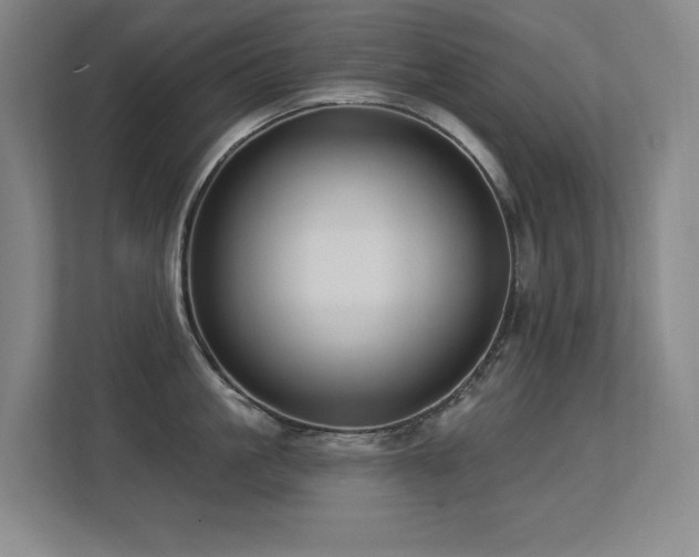 X0000113270861200909101518
