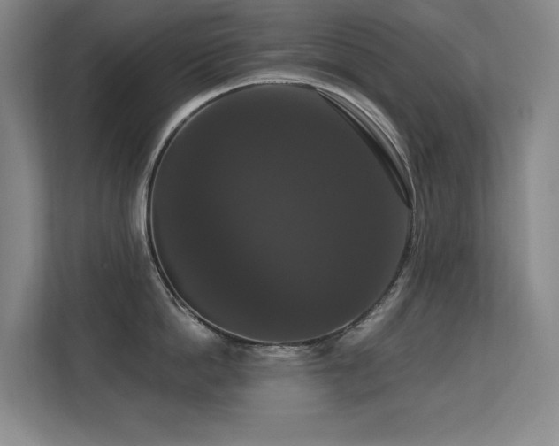 X0000113270862200909101518