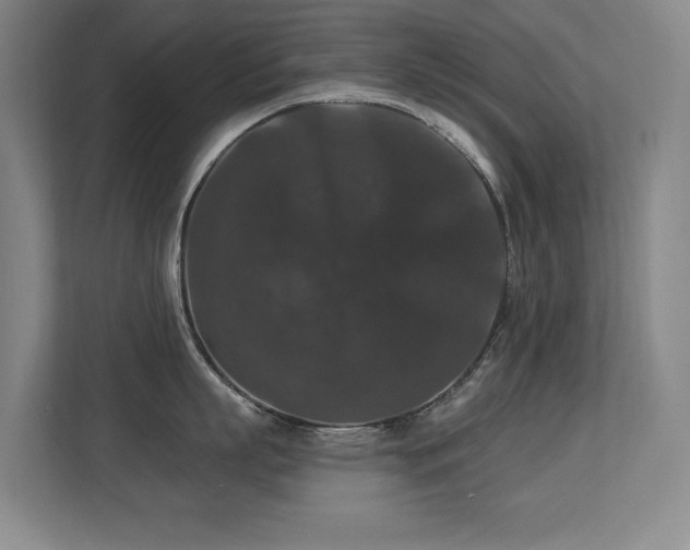 X0000113270863200909101518