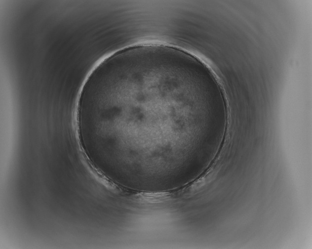 X0000113270864200909101518
