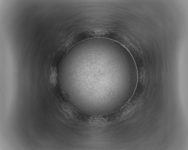 X0000113270866200909101517