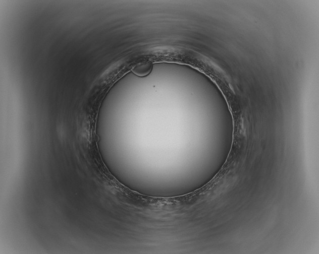 X0000113270869200909101517