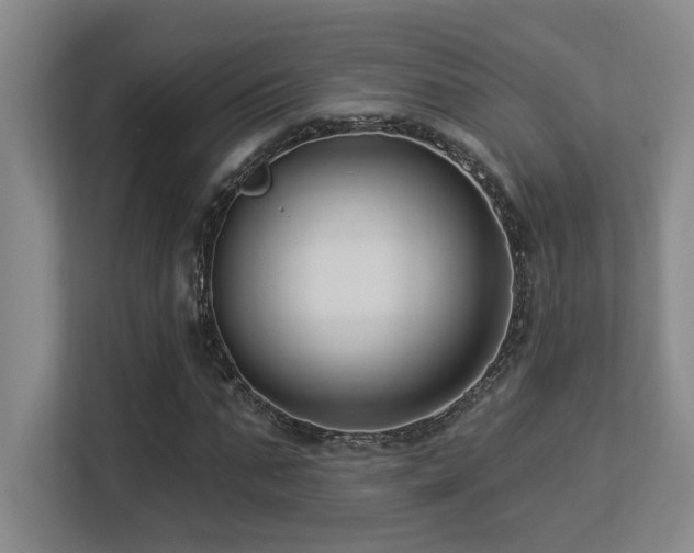 X0000113270871200909101517