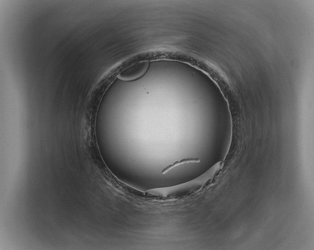 X0000113270872200909101517